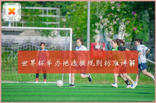 世界杯举办地选拔规则标准详解
