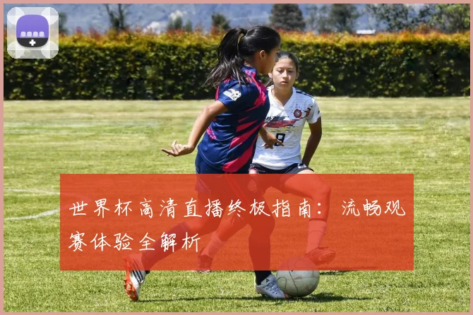 世界杯高清直播终极指南：流畅观赛体验全解析