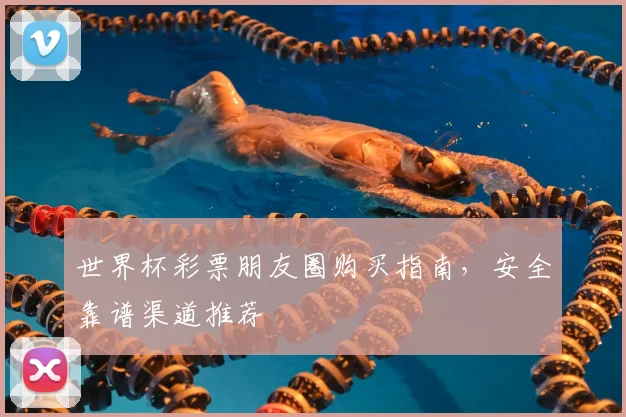 世界杯彩票朋友圈购买指南，安全靠谱渠道推荐