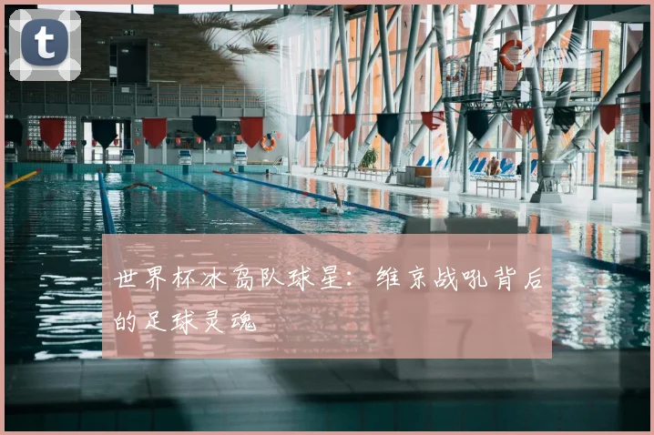 世界杯冰岛队球星：维京战吼背后的足球灵魂