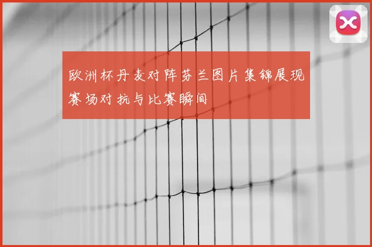 欧洲杯丹麦对阵芬兰图片集锦展现赛场对抗与比赛瞬间