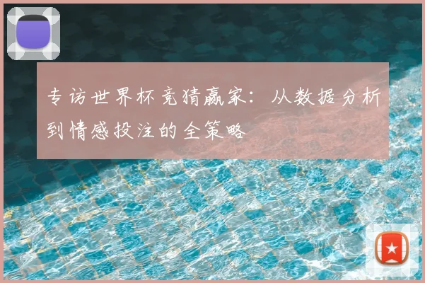 专访世界杯竞猜赢家:从数据分析到情感投注的全策略