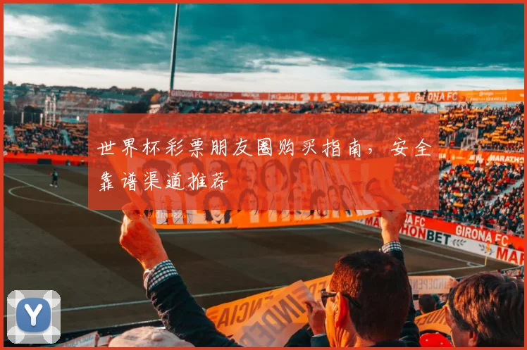 世界杯彩票朋友圈购买指南，安全靠谱渠道推荐