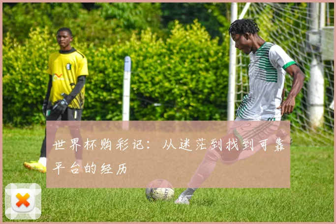 世界杯购彩记：从迷茫到找到可靠平台的经历
