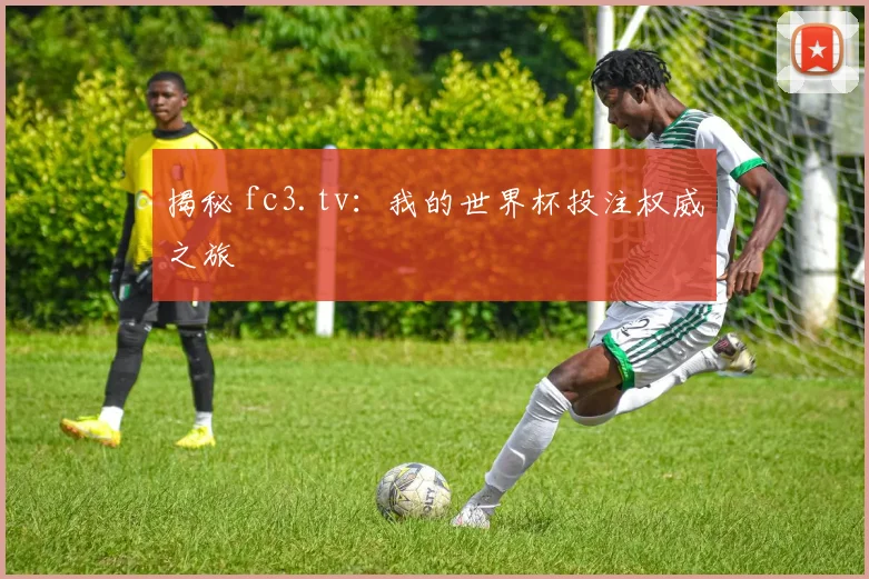 揭秘 fc3.tv：我的世界杯投注权威之旅
