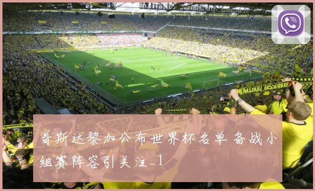 哥斯达黎加公布世界杯名单 备战小组赛阵容引关注_1