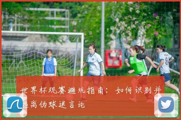 世界杯观赛避坑指南：如何识别并远离伪球迷言论