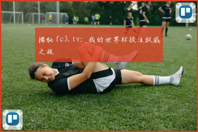 揭秘 fc3.tv：我的世界杯投注权威之旅